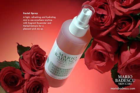 Alex Fidelibus Mario Badescu Rose Water Poster